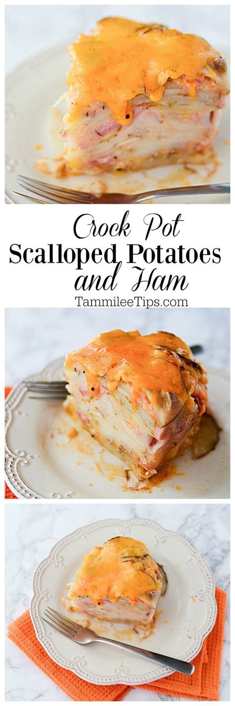 I haven't ever seen a crock pot recipe that i liked, nor a finished product that was actually something i would. Slow Cooker Crock Pot Scalloped Potatoes and Ham | Recipe ...