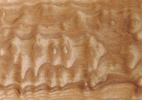 Burl Wood Texture Image 16275 On Cadnav