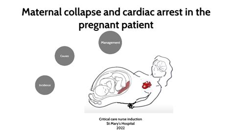 maternal collapse and cardiac arrest in the pregnant patient by mohamed alaa