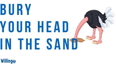 Bury Your Head In The Sand Willingo