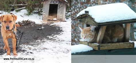 Arbor park apartments located at 4401 spartacus drive, huntsville, al. 8 Tips On Ending Winter Worries For You & Your Pet ...
