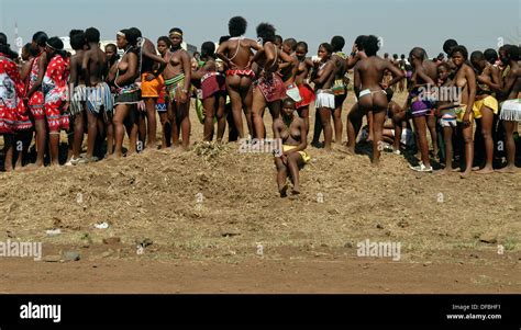 Tausenden Zulu Jungfrauen Beteiligen Reed Dance Wo Mädchen Nach