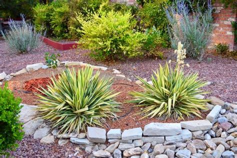 A Guide To Easy Drought Tolerant Landscaping In California