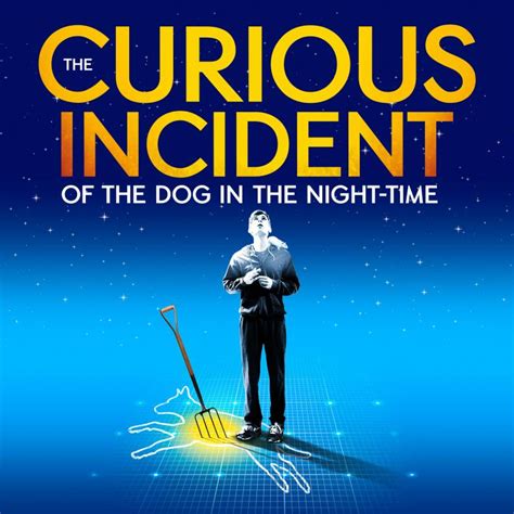 Review The Curious Incident Of The Dog In The Night Time Piccadilly