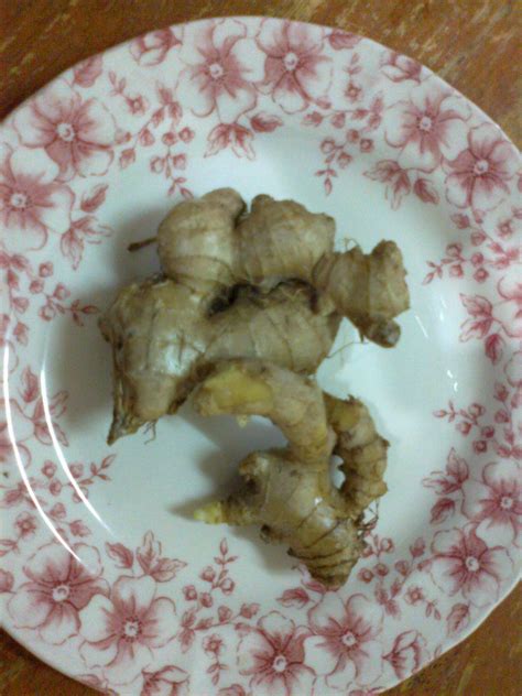 Resep ayam kukus, bahan ayam, bumbu,garam,kaldu ayam,merica bubuk daun bawang merah dan. Lisa & Florence's Collectionz: Resepi Ayam Steam Kacang Ma