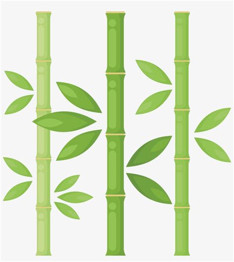 Bamboo Png Library Download Bamboo Tree Png 2234x2393 Png Download