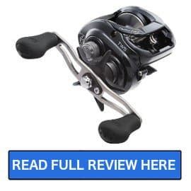 Best Daiwa Fishing Reel Reviews Salted Angler