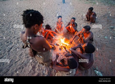 Ju Hoansi Or San Bushmen Hunter Gathering Around Camp Fire At Their Village Grashoek Namibia