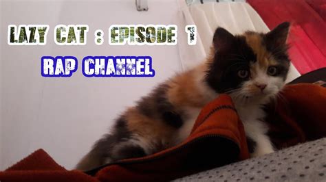 Kamar kamariah, sinopsis kamar kamariah, pelakon kamar kamariah, tv3, lagu tema, ost. RAP - Lazycat : Episode 1 (Kucingku suka tidur di kamar ...