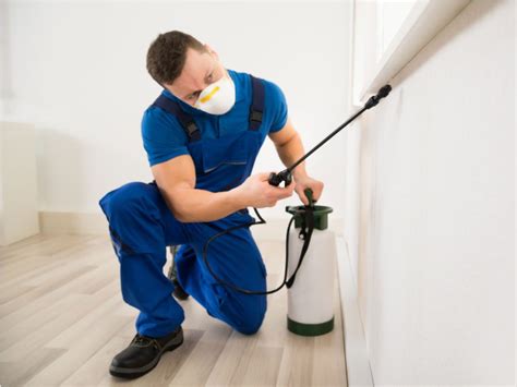 Choosing the best pest control companies to handle your pest issues can be overwhelming and confusing, especially, if you have not hired one before. 13 Exterminator Secrets—Revealed | Reader's Digest