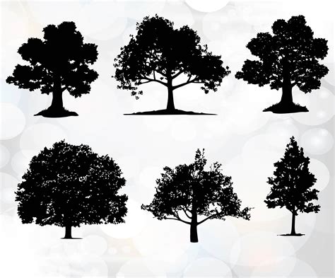 Tree Silhouette Svg Files Tree Svg Cutting Templates For