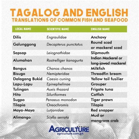 Local And English Names Of Common Fish And Seafood In The Philippines