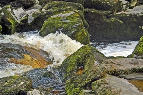 Some footage of the strid, at bolton abbey. "The Strid, Bolton Priory" by Paul Johnson at PicturesofEngland.com