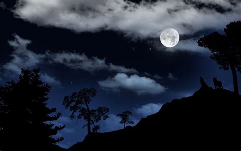 Howling At The Moon Moonlight Wallpaper Full Moon Pictures Nature