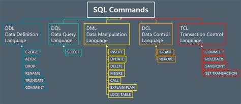SQL命令 DDL DQL DML DCL和TCL dql如何回滚 CSDN博客