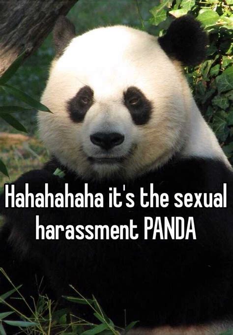 Hahahahaha Its The Sexual Harassment Panda