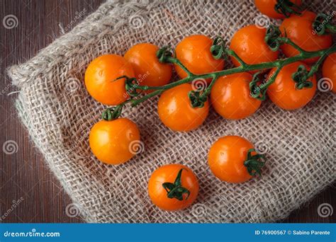 Fresh Orange Cherry Tomatoes Stock Image Image Of Branch Agriculture