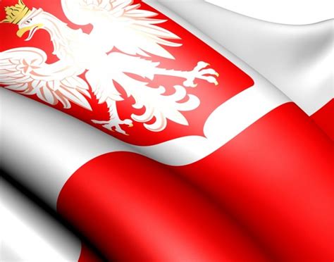 Znajdź obrazy z kategorii flaga polska. Zdjęcie: Flaga i godło a prawa autorskie - galeria - ABC ...
