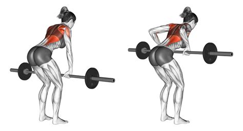 Barbell Row Benefits Muscles Used And More Inspire Us