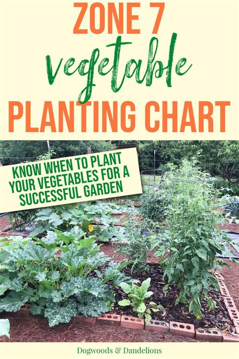 Zone 7 Vegetable Planting Chart In 2021 Planting Vegetables