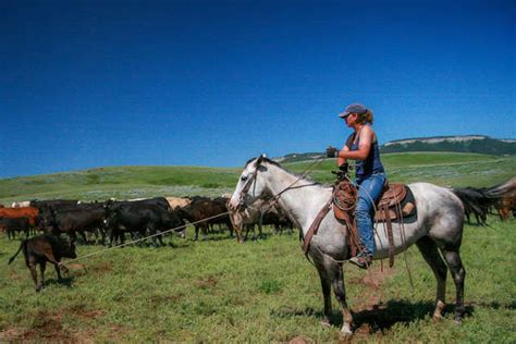 Ride On An Authentic Working Cattle Ranch In Montana Equus Journeys