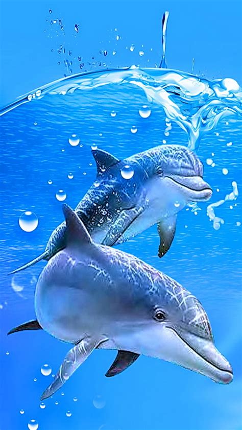 Dolphins Dolphin Sea Water Hd Phone Wallpaper Peakpx
