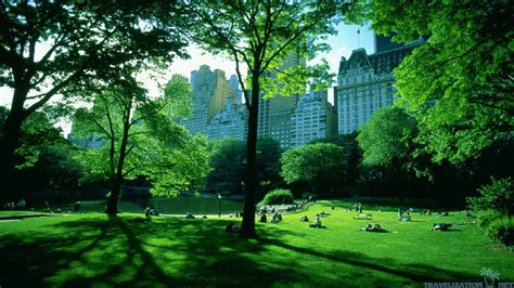 New York Summer Central Park Wallpapers Wallpaper Cave