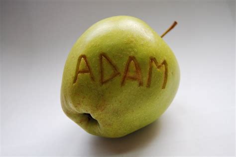 Questmark Adams Apple