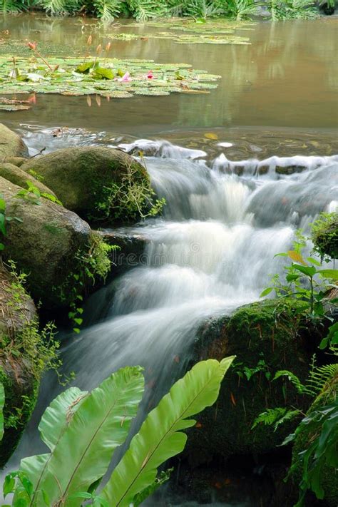 Natural Water Flow Stock Image Image Of Fresh Landscape 15273083