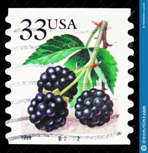 Postage Stamp Printed In United States Shows Fruit Berries