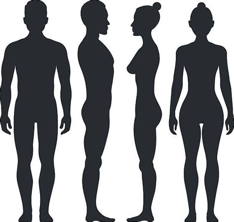 ✓ free for commercial use ✓ high quality images. Man and woman vector silhouettes in front and side view ...