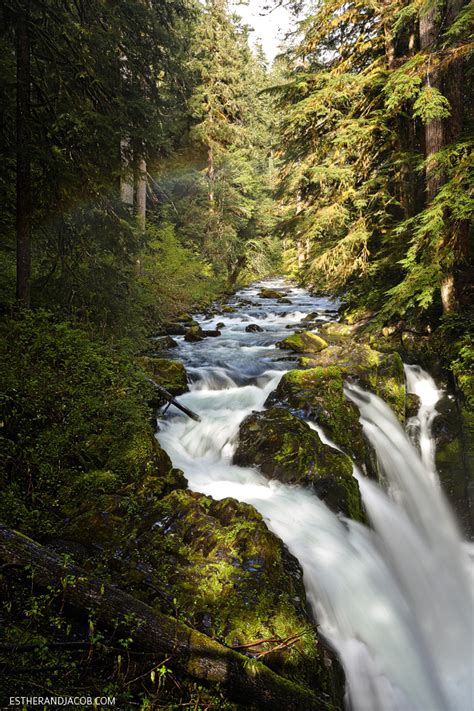 4 Things To Do In Olympic National Park Washington