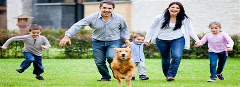 Pet insurance plans are underwritten by united states fire insurance company. Best and Professional Assistance on Complete Pest Control and Remedies | Dog training, Dog ...