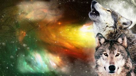 Wolf Desktop Wallpaper 1920x1080 69 Images