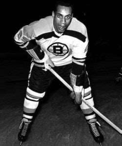 The National Hockey League Integrates - African American Registry