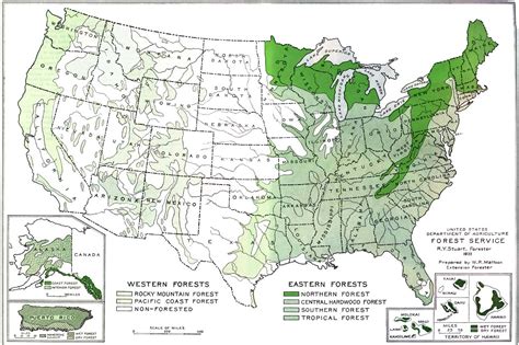 National Park Service Recreational Use Of Land In The United States