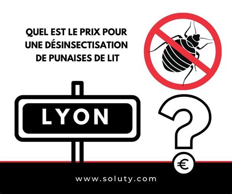 Lyon Société De Désinsectisation Punaises De Lit Soluty