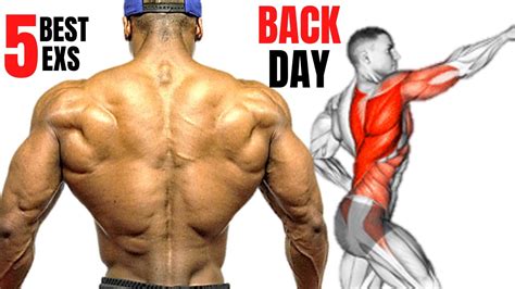 5 Best Back Workout At Gym To Get Bigger Back Fast Musculation Dos RÉsultat Rapide Youtube