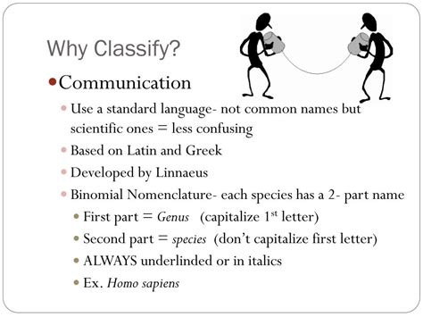 Ppt Classification Powerpoint Presentation Free Download Id3876859