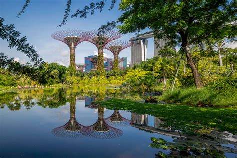 Dense Green And Blue Is Singapore Ready To Be A ‘city In Nature