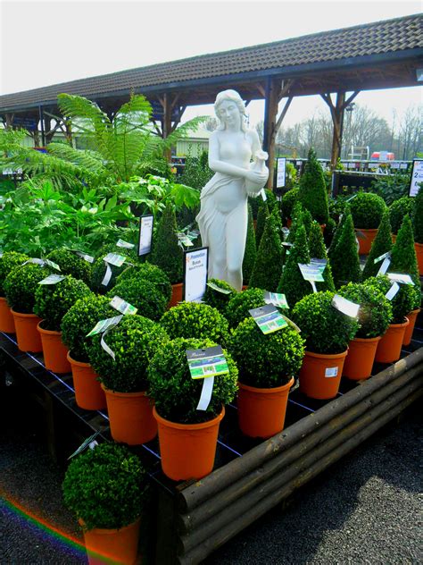 Shrubs Aylett Nurseries Visit Ayletts Garden Centre For All Your