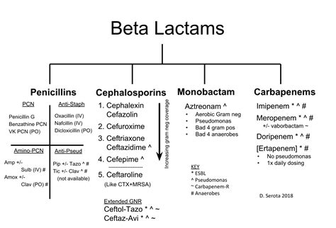Types Of Beta Lactam Antibiotics