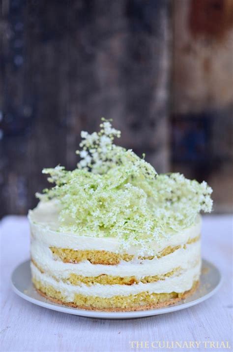 Maybe you would like to learn more about one of these? Holunder -Mousse Torte mit weißer Schokolade | Kuchen und ...