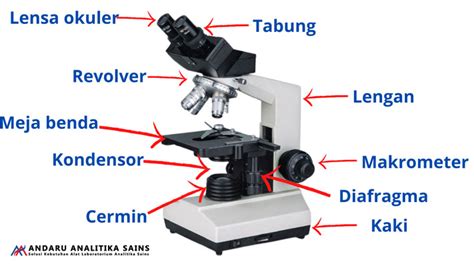 Mikroskop Pengertian Mikroskop Fungsi Dan Cara Menggunakan