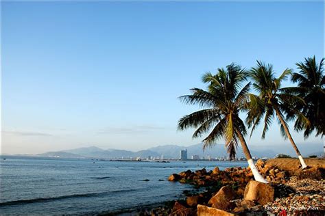 Phố biển Nha Trang ngỡ ngàng nét đẹp nên thơ năm 2024
