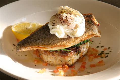 Cooked Sea Bass With A Poached Egg Stock Image Image Of Gourmet Freshness 177037507