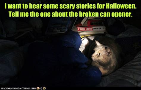 I Want To Hear Some Scary Stories For Halloween Lolcats Lol Cat