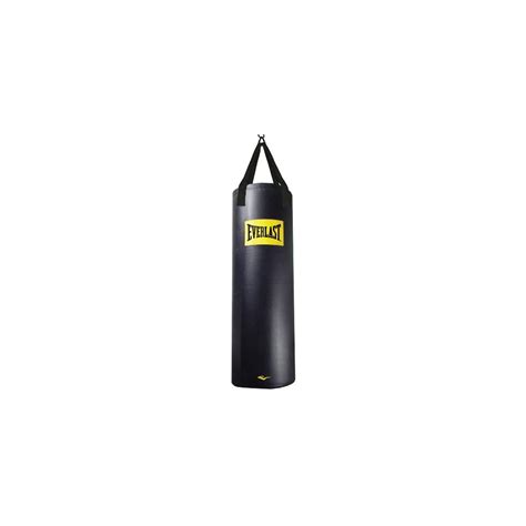 Everlast Punching Bag 100 Lbs