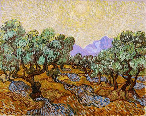 Vincent Van Gogh Olive Trees 1889 Art Van Van Gogh Art Vincent Van