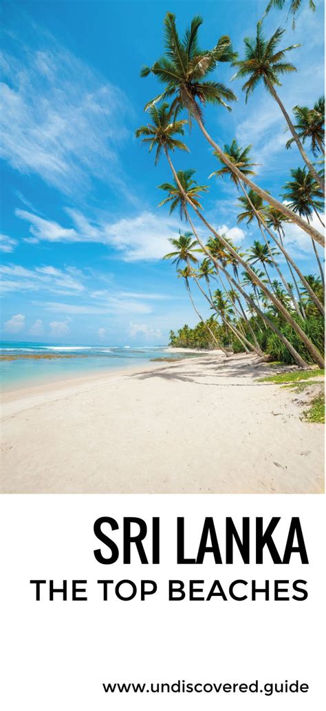 The Top Beaches In Sri Lanka With Palm Trees On The Beach And Blue Sky